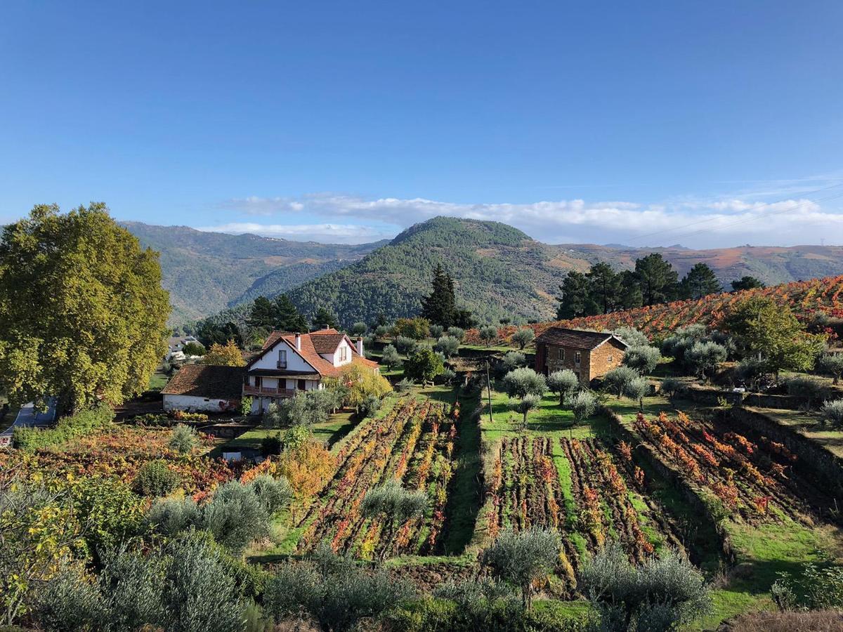 Hotel Quinta Vila Rachel - Winery Sao Mamede de Ribatua Exteriér fotografie